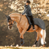 WALDHAUSEN COMFORT DRESSAGE Ochraniacze ujeżdżeniowe/robocze